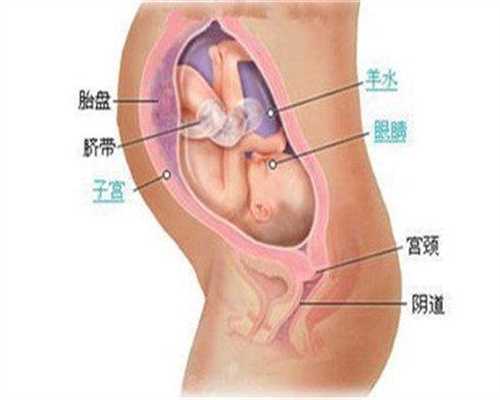代孕最高用多少钱,胎停育的B超诊断4个标准