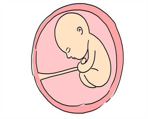 代孕怎么办出生证明,图解孕10个月身体的神奇变