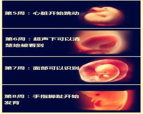 广州试管双胞胎价格,孕前需具备哪些“前提”？