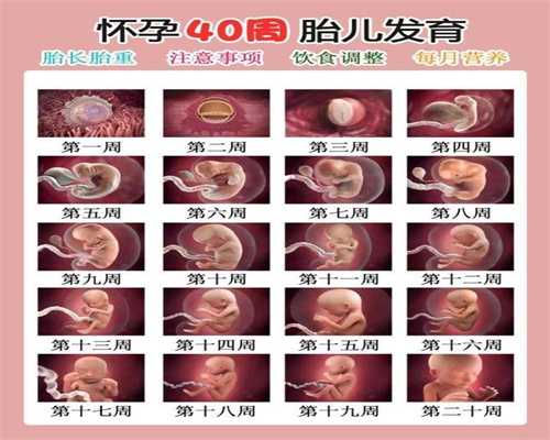 广州哪里有代怀孕公司,孕妇用什么牙膏好 应避免