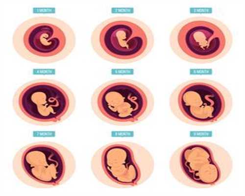 第三代试管代孕选性别包成功价格,孕二十五周食