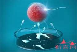 北京助孕求子指南,北京正规合法的供卵试管机构有哪些？